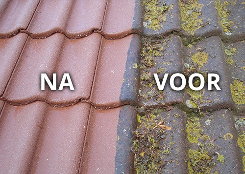 dakpannen voor en na impregneren en reinigen, dakpannen met alg mos - voor en na behandeling