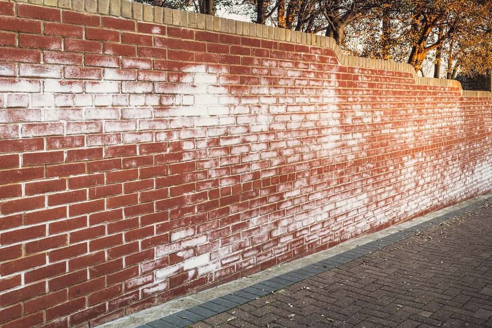 Cementsluierverwijderaar en Ontkalker | Tergeo - Afbeelding 2