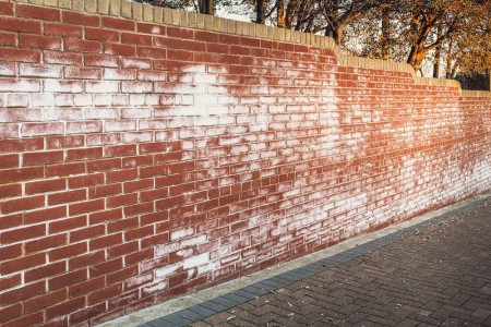 witte uitslag op steen, uitbloei baksteen, cementsluier op steen